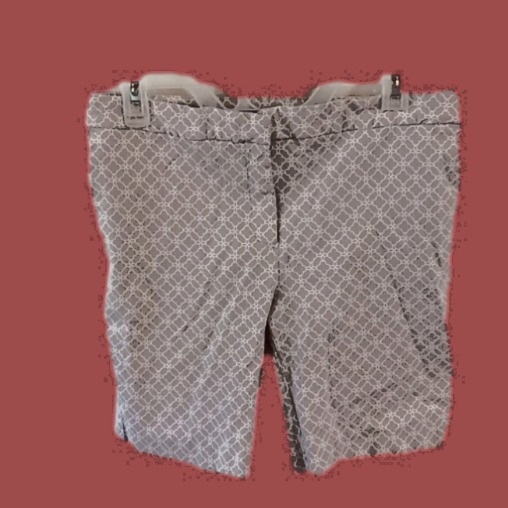 (154)   Mario Serrani womens shorts, size 10, NWOT